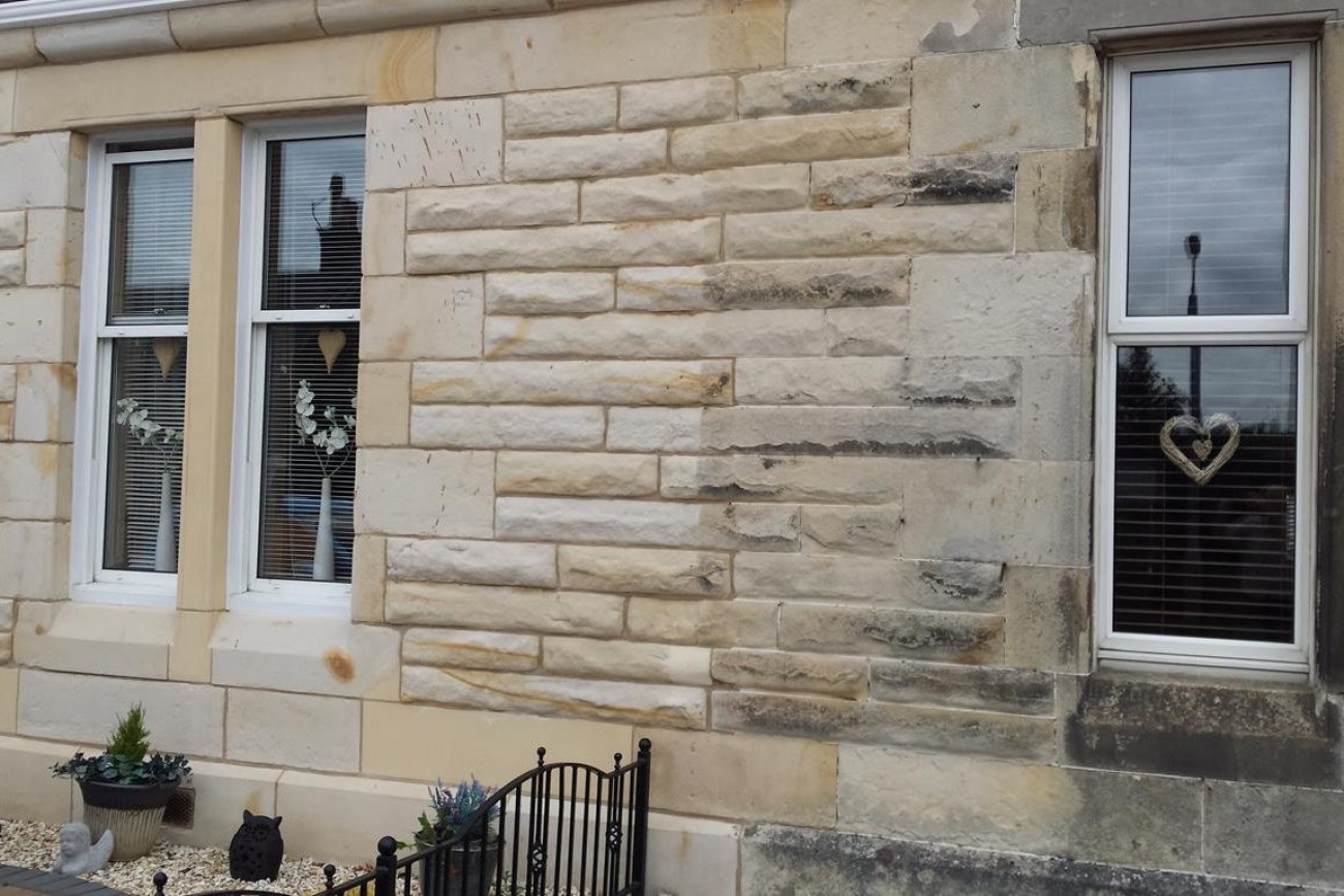 Exterior cleaning and preservation work